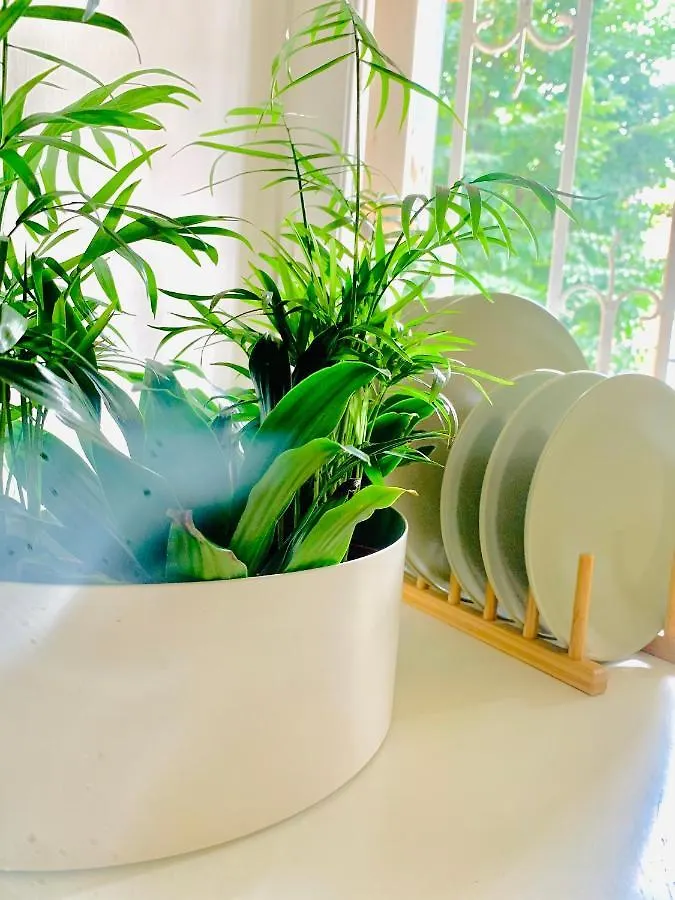 Holiday home Plant House Roma Eur Villa