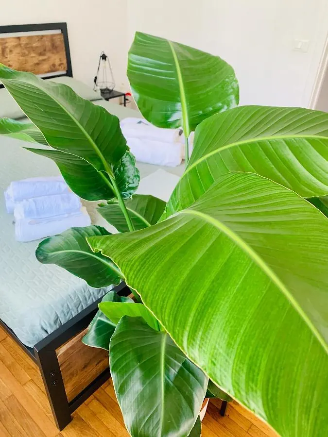 Plant House Roma Eur Villa Rome