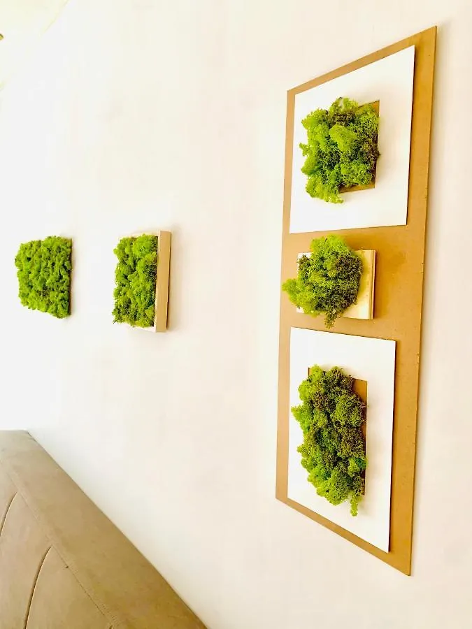 Plant House Roma Eur Villa Holiday home