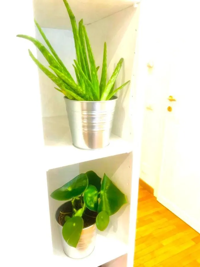 Villa Plant House Roma Eur